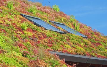 Scarisbrick living roof systems