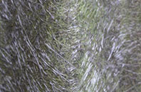 Scarisbrick fibreglass roof work